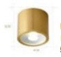 Ceiling Light